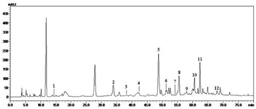 Int J Biol Sci Image