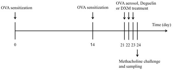 Int J Biol Sci Image