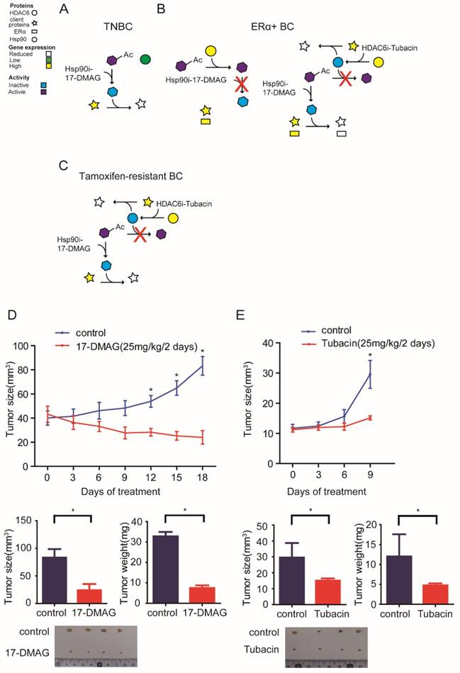 Int J Biol Sci Image