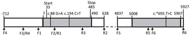 Int J Biol Sci Image