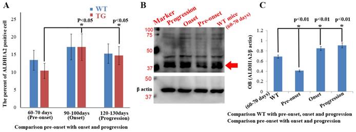 Int J Biol Sci Image