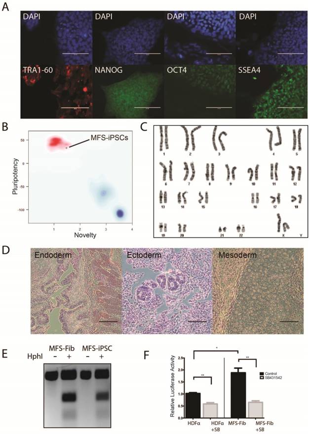 Int J Biol Sci Image