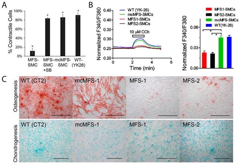 Int J Biol Sci Image