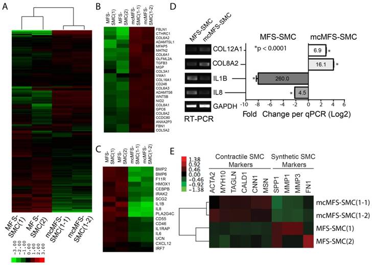 Int J Biol Sci Image