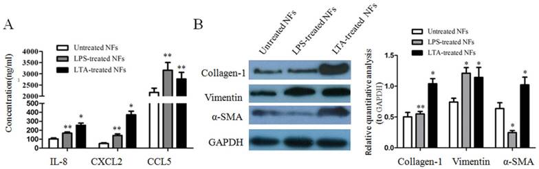 Int J Biol Sci Image