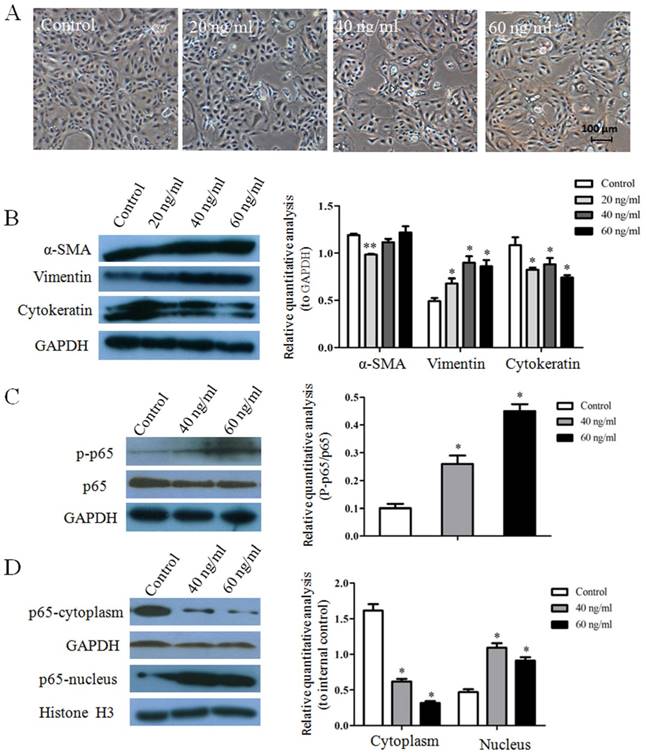 Int J Biol Sci Image