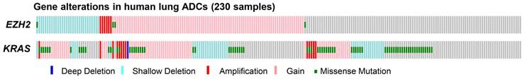 Int J Biol Sci Image