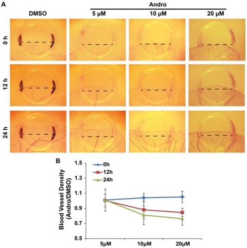 Int J Biol Sci Image