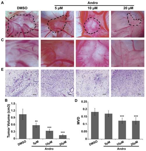 Int J Biol Sci Image