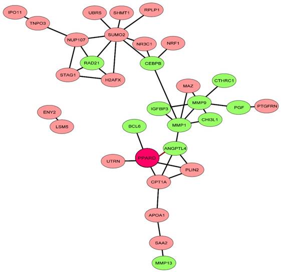 Int J Biol Sci Image