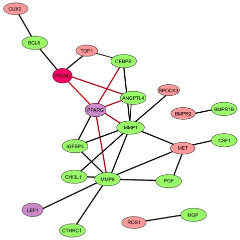 Int J Biol Sci Image