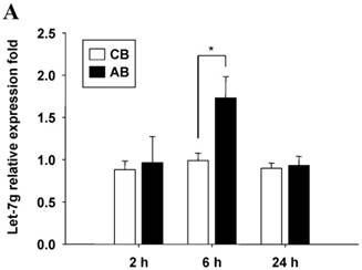 Int J Biol Sci Image