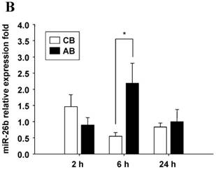 Int J Biol Sci Image