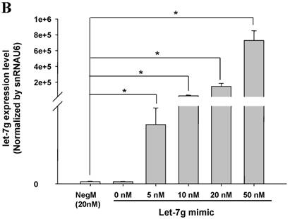 Int J Biol Sci Image