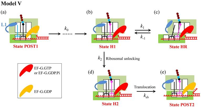 Int J Biol Sci Image