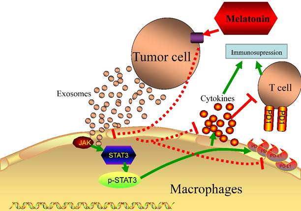 Int J Biol Sci Image