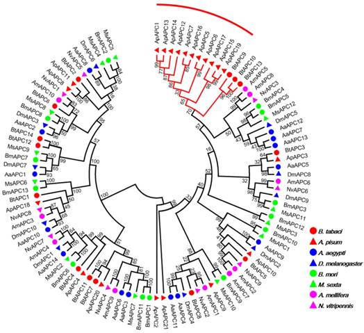 Int J Biol Sci Image