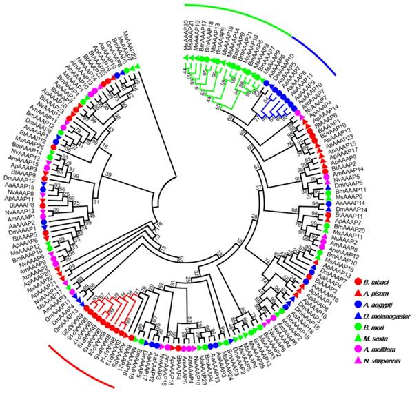 Int J Biol Sci Image