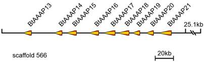 Int J Biol Sci Image