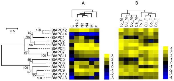 Int J Biol Sci Image