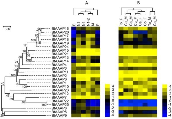 Int J Biol Sci Image