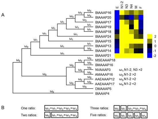 Int J Biol Sci Image