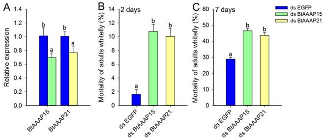 Int J Biol Sci Image