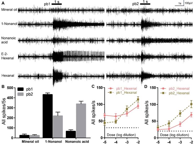 Int J Biol Sci Image