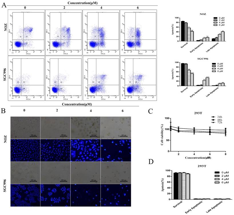 Int J Biol Sci Image