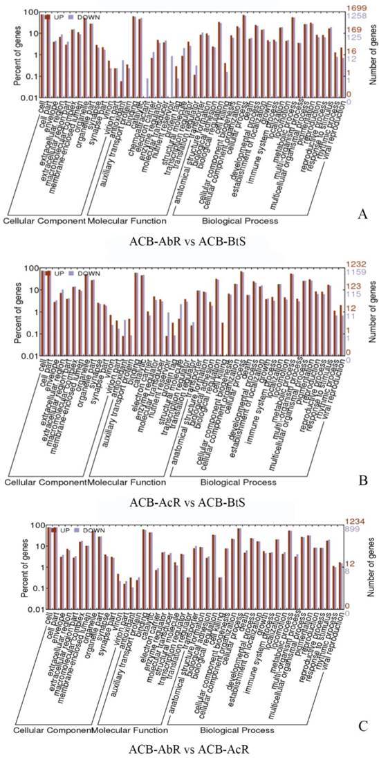 Int J Biol Sci Image