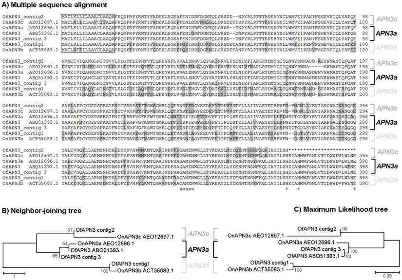 Int J Biol Sci Image