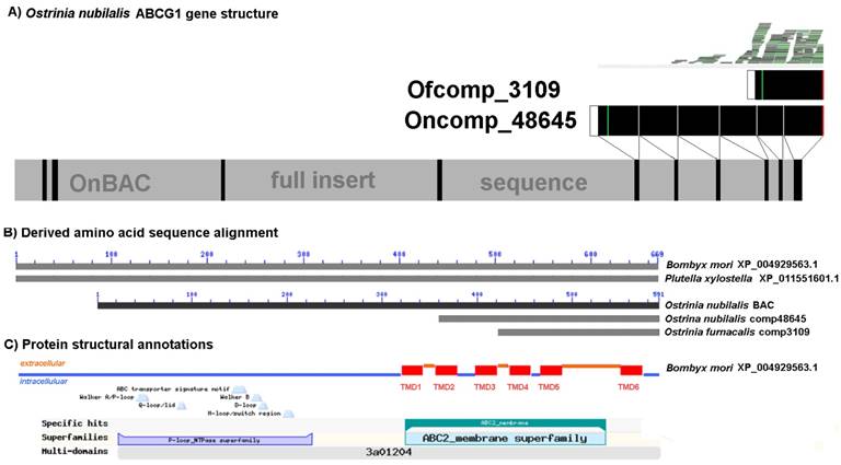 Int J Biol Sci Image