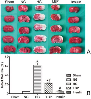 Int J Biol Sci Image