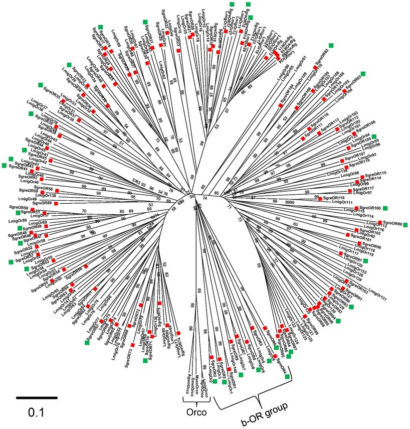 Int J Biol Sci Image