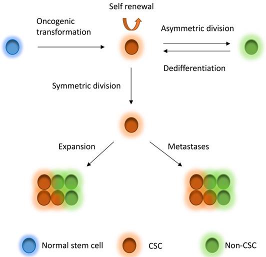 Int J Biol Sci Image