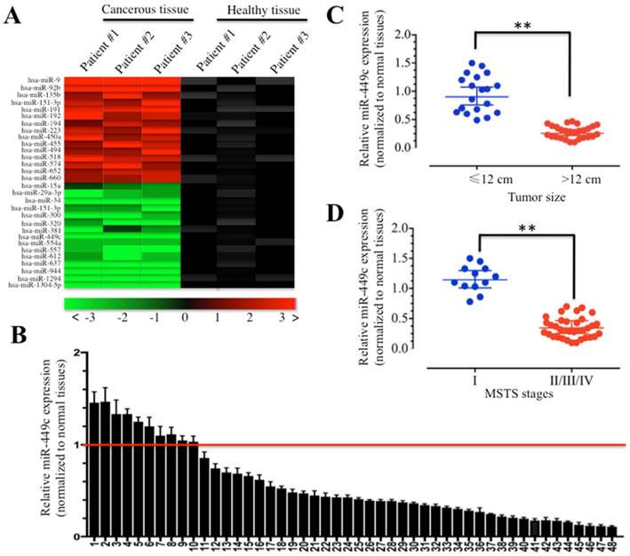 Int J Biol Sci Image