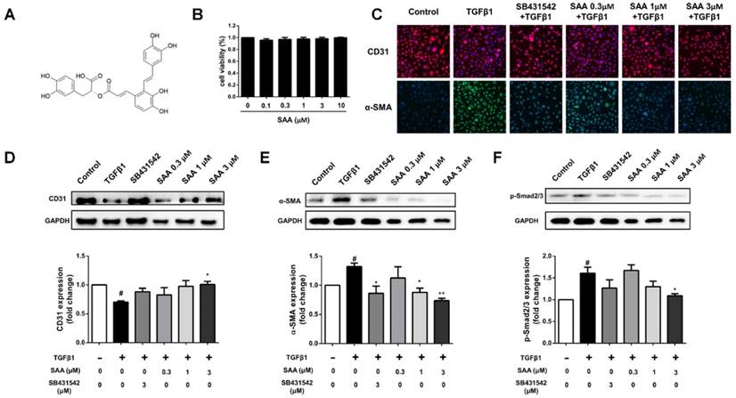 Int J Biol Sci Image