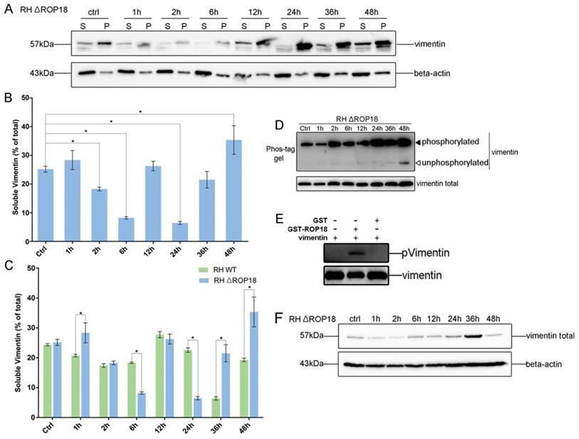 Int J Biol Sci Image