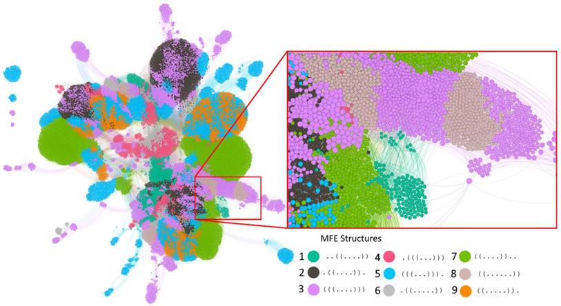 Int J Biol Sci Image