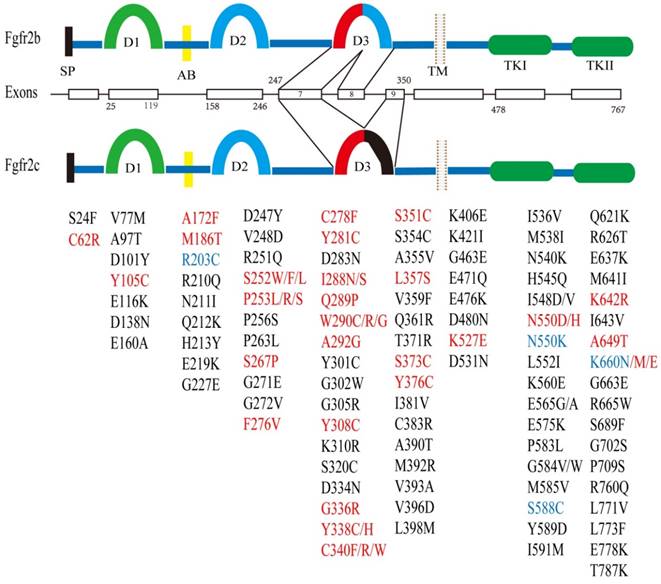 Int J Biol Sci Image