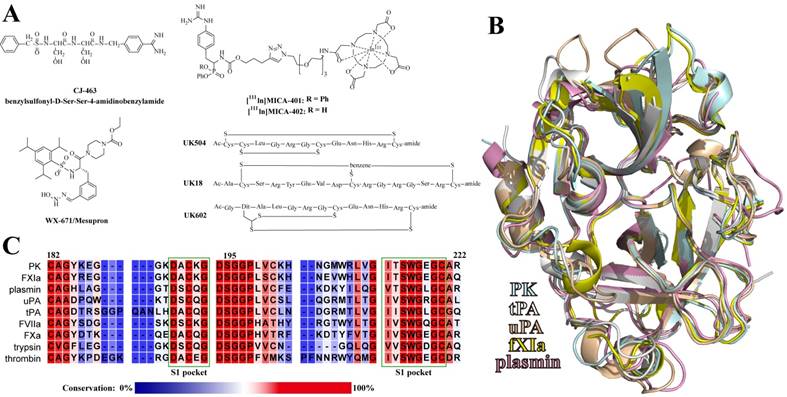 Int J Biol Sci Image