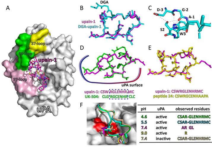 Int J Biol Sci Image