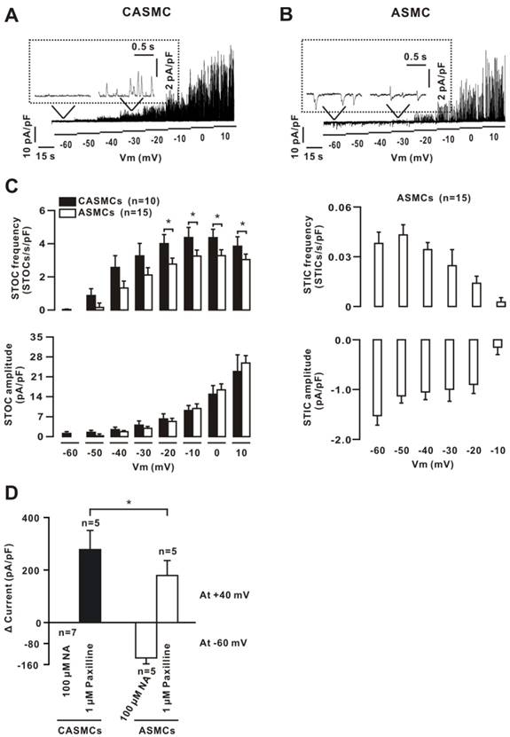 Int J Biol Sci Image