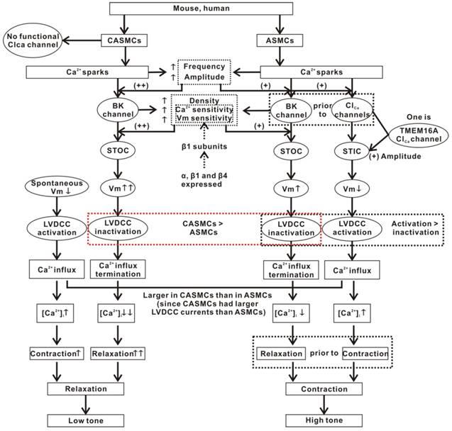 Int J Biol Sci Image