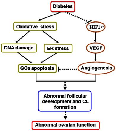 Int J Biol Sci Image