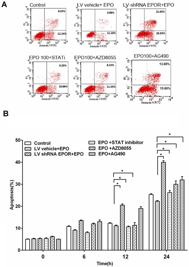 Int J Biol Sci Image