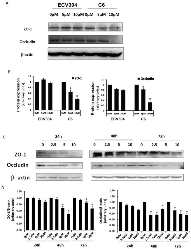 Int J Biol Sci Image