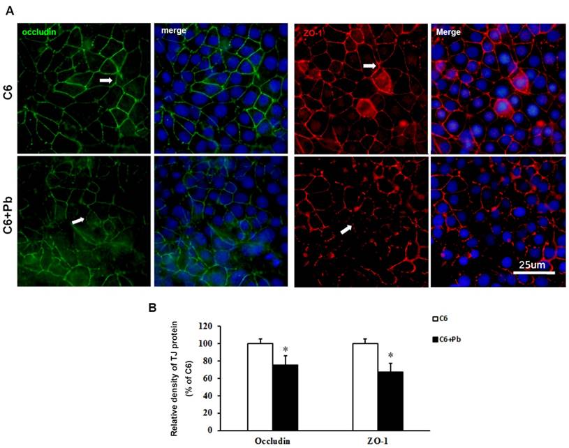 Int J Biol Sci Image