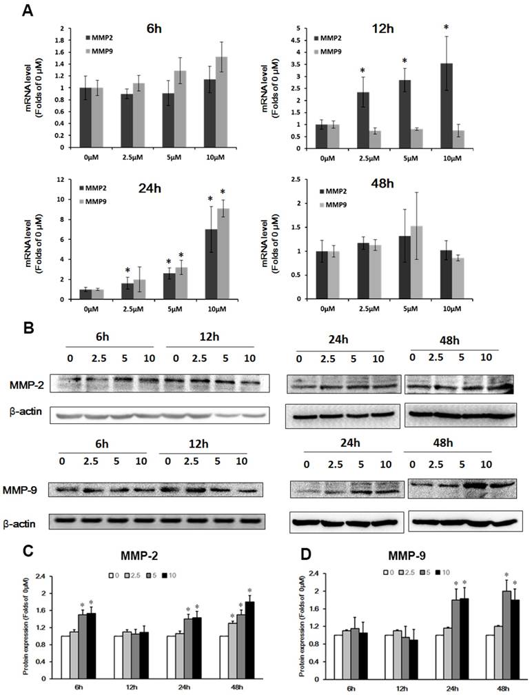 Int J Biol Sci Image