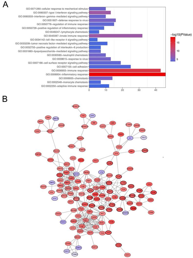 Int J Biol Sci Image